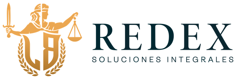 REDEX Soluciones Integrales